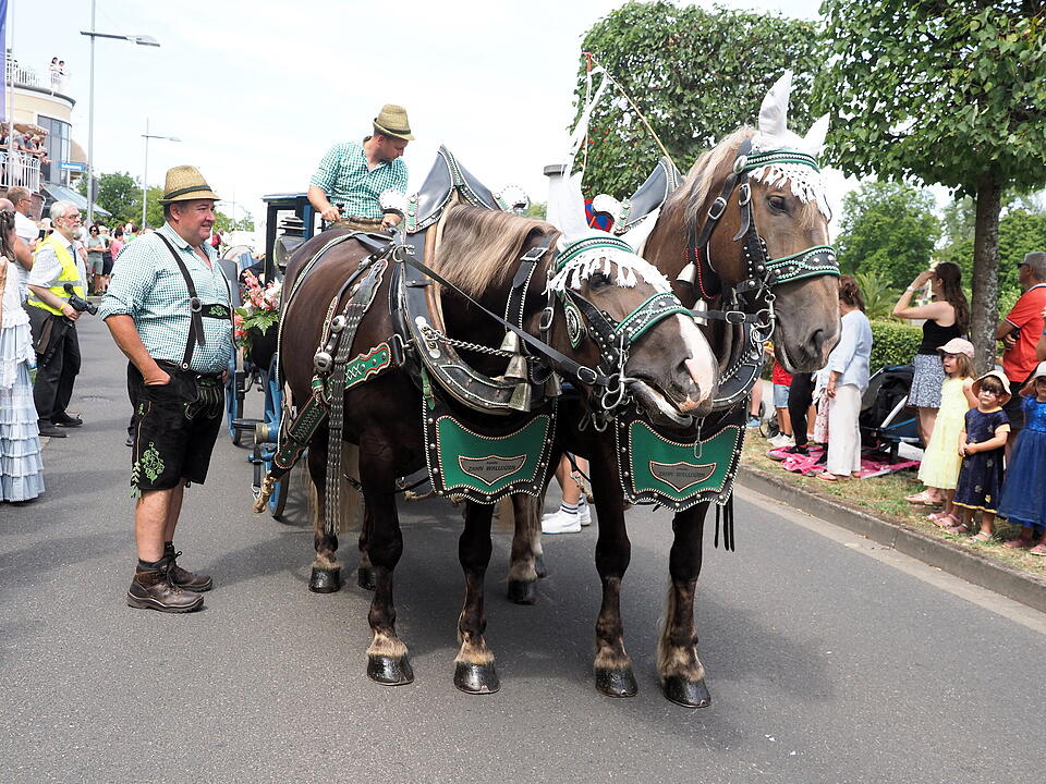 Der sonnt&auml;gliche H&ouml;hepunkt des Rakoczy-Fest.