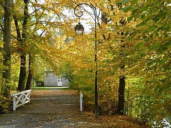 Wir wollen Herbstfotos unserer Leser veröffentlichen. Foto: Archiv