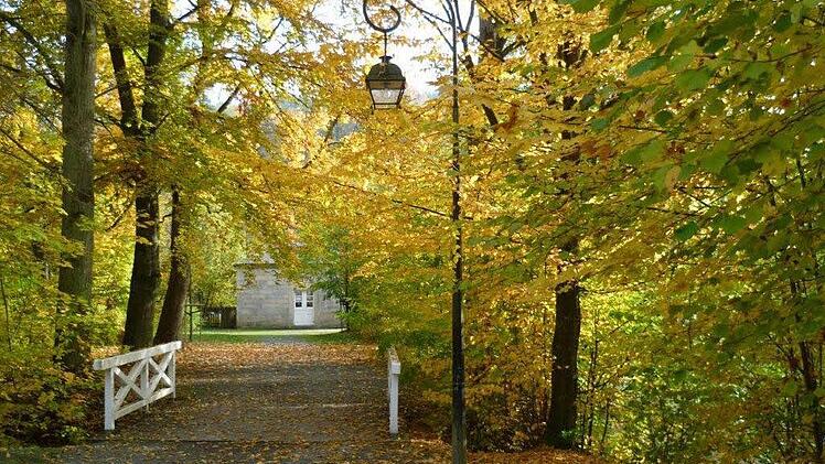Wir wollen Herbstfotos unserer Leser veröffentlichen. Foto: Archiv