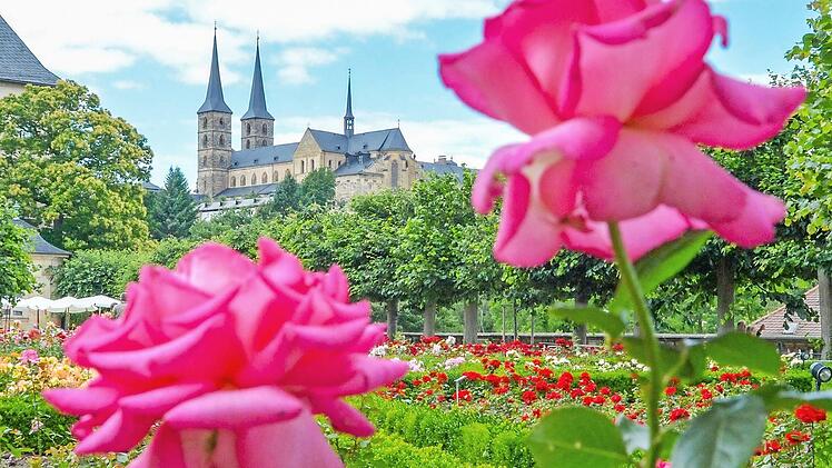 Blick vom Rosengarten auf St. Michael Foto: Ronald Rinklef