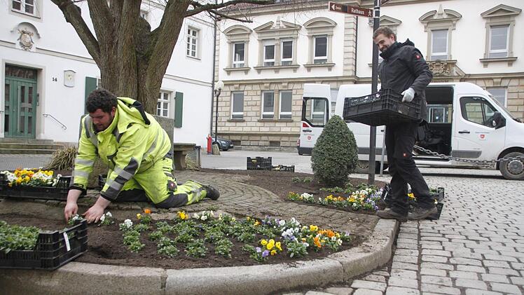 Alexander Fößel pflanzt Blumen ein, während Martin Kupfer den Nachschub bringt.  Foto: Andreas Schmitt
