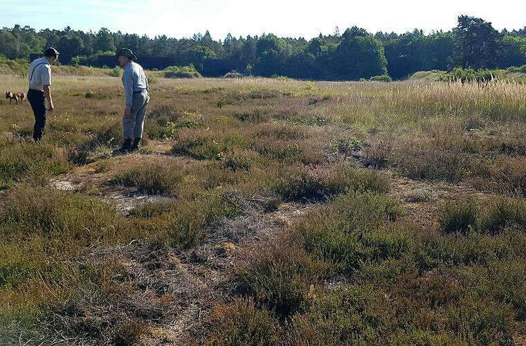 Bamberg: Naturschutz auf US-Armee-Schießplatz? So werden hier Arten erhalten