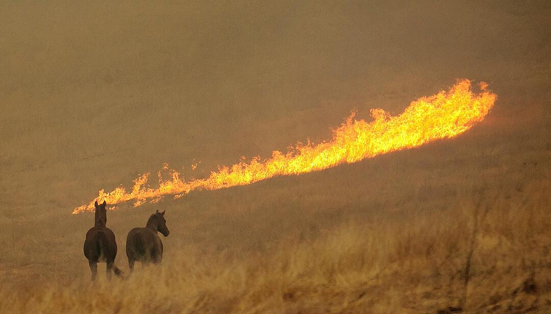 Flucht vor den Flammen in Kalifornien