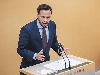 "Nicht besser, nur teurer": FDP fordert Volksbegehren zur Verkleinerung des Landtags