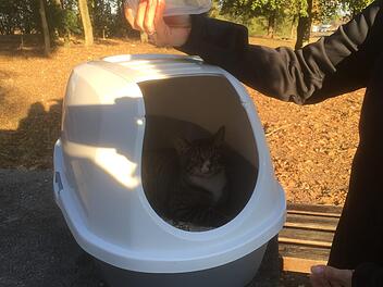 In dieser Katzentoilette wurde das Tier an der A&nbsp;3 ausgesetzt.    Foto: privat