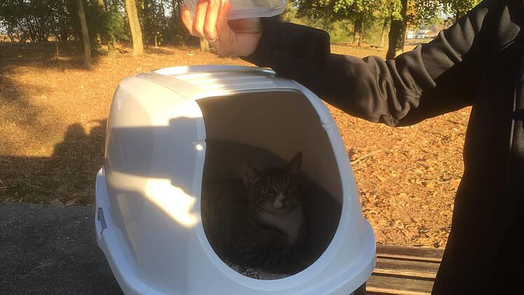 In dieser Katzentoilette wurde das Tier an der A&nbsp;3 ausgesetzt.    Foto: privat
