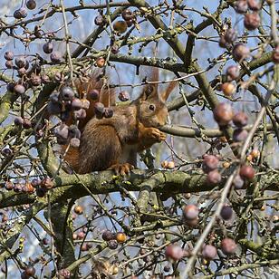 Frühlingsbeginn in Fürth