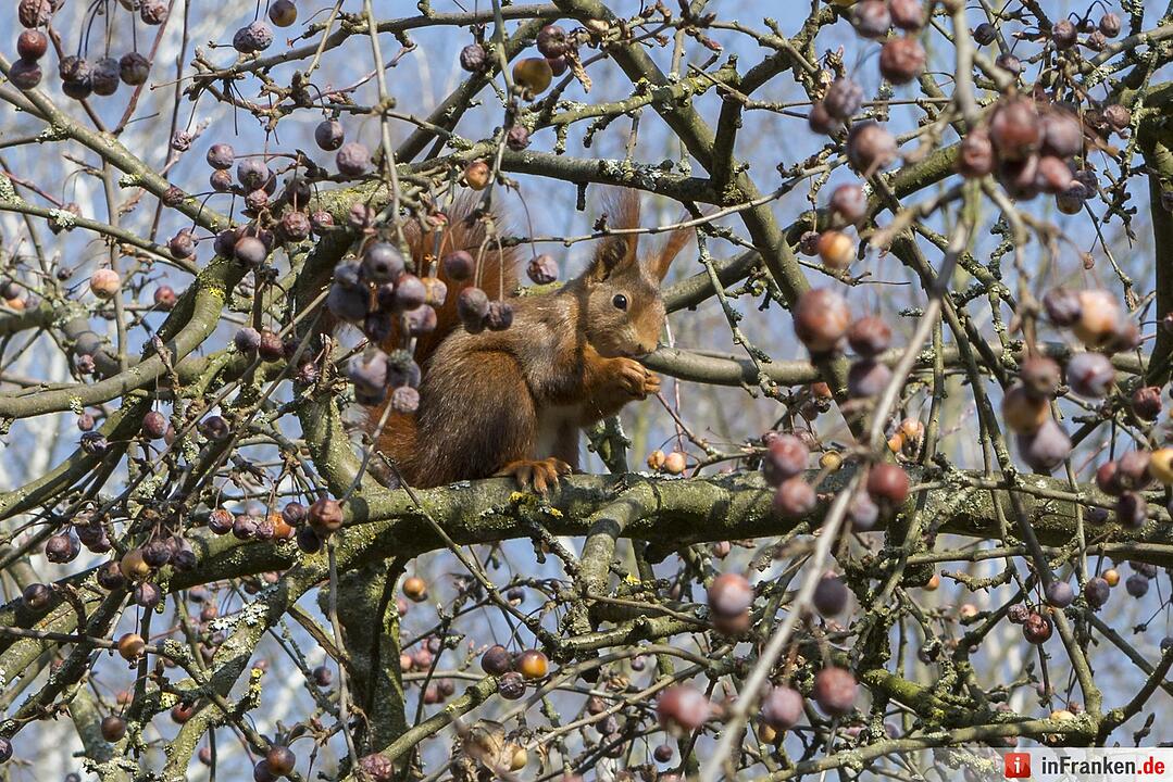 Frühlingsbeginn in Fürth