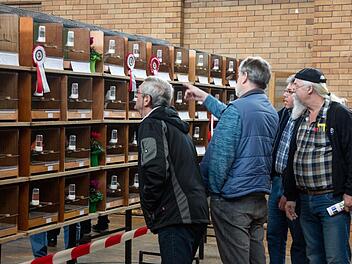 Ausgiebig diskutierten die Vogelfreunde die züchterischen Kriterien für die einzelnen Vögel. Insgesamt hatte die Ausstellung in Mitwitz ein erfreulich hohes Niveau. kag