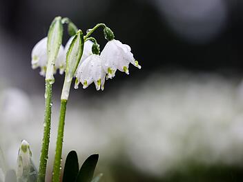 Wechselhafter Frühlingsstart