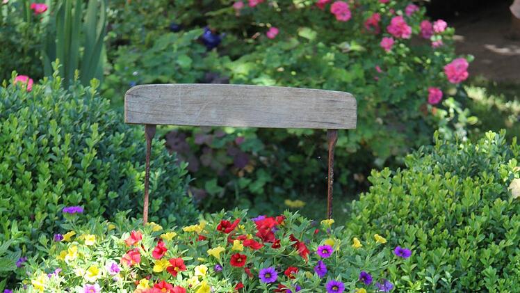 Kestels Garten Detail Foto: Alexandra Kemnitzer