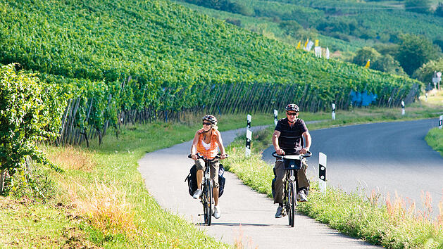 Radeln W&uuml;rzburg