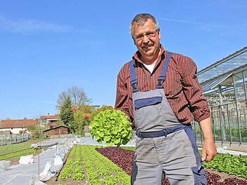 Gärtner Michael Niedermaier mit einem Salat Foto: Barbara Herbst