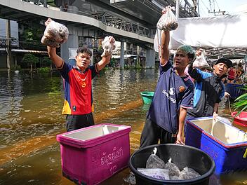 &Uuml;berschwemmungen in Bangkok