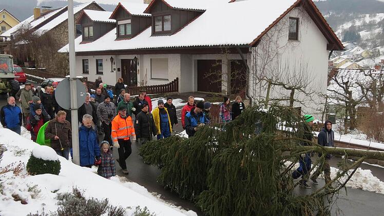 Ein Tross aus mehreren Traktoren brachte die "Bürgermeister"-Bäume an Ort und Stelle. Foto: Doris Bauer