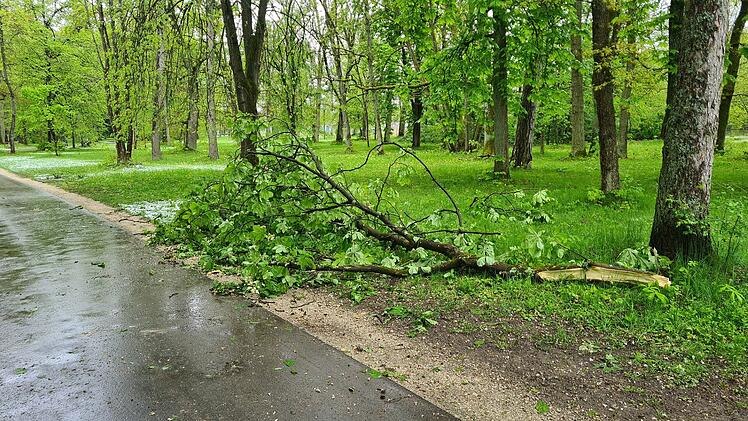 Bamberg: Rund 20 Einsätze in kurzer Zeit - Schneefall überrascht Bamberger Feuerwehr