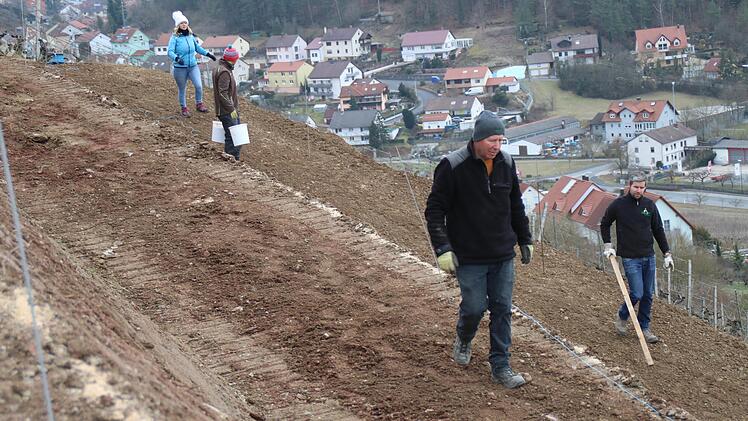 Mit der Querterrassierung eines zwei Hektar großen Weinbergs in Ramsthal  betritt das Weingut Neder Neuland.