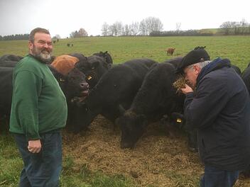 Die Angusrinder mögen das Futter, das ihnen Toni Prechtl (links) bringt. Auf der großen Hangwiese bei Posseck kommen sie angetrabt. Züchter Uli Detsch (rechts) riecht am Futter und lobt die Qualität.  Foto: Friedwald Schedel