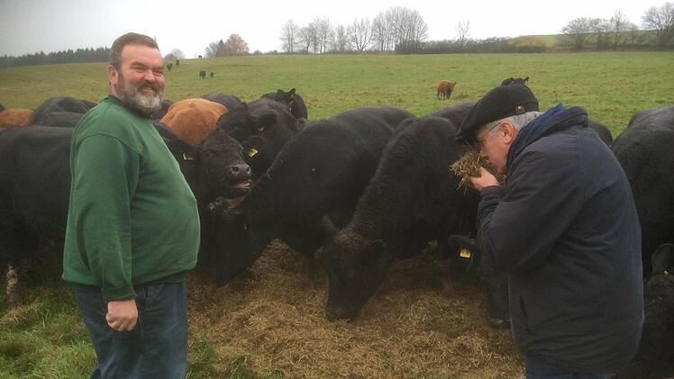 Die Angusrinder mögen das Futter, das ihnen Toni Prechtl (links) bringt. Auf der großen Hangwiese bei Posseck kommen sie angetrabt. Züchter Uli Detsch (rechts) riecht am Futter und lobt die Qualität.  Foto: Friedwald Schedel