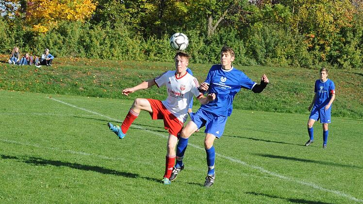 Blick auf das Spiel der Woche in Großwenkheim. Foto: Hopf
