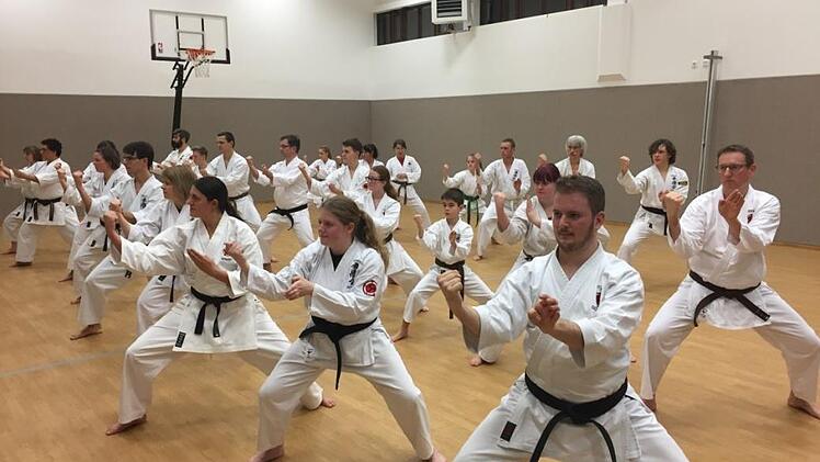 Freuen sich auf den Lehrgang:  Die Schüler der Uechi-Ryu-Karateschule in Bad Kissingen.Benedikt Borst