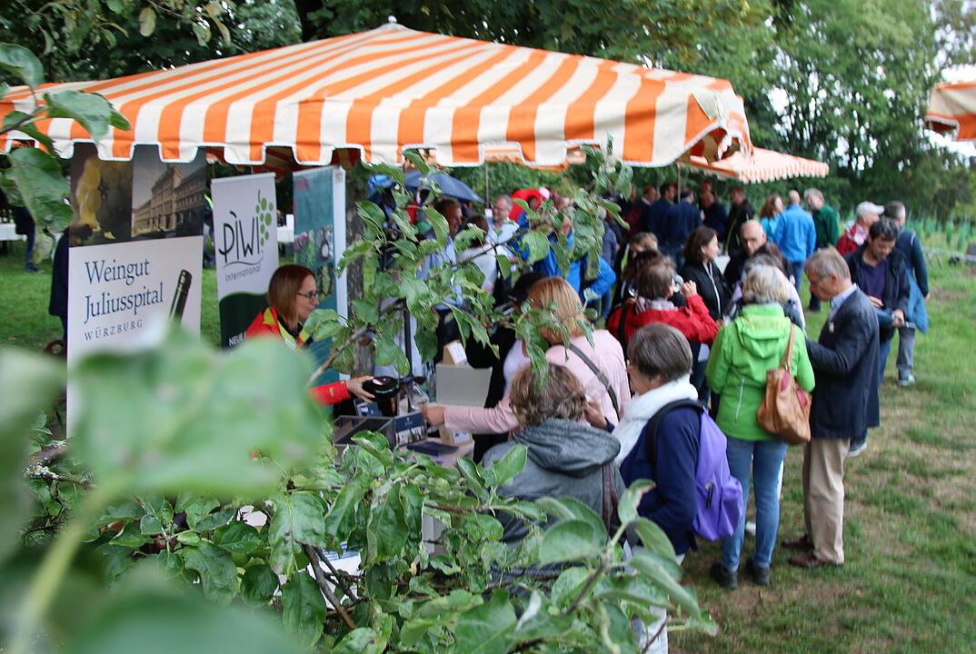 &Ouml;kowein-Pr&auml;sentation