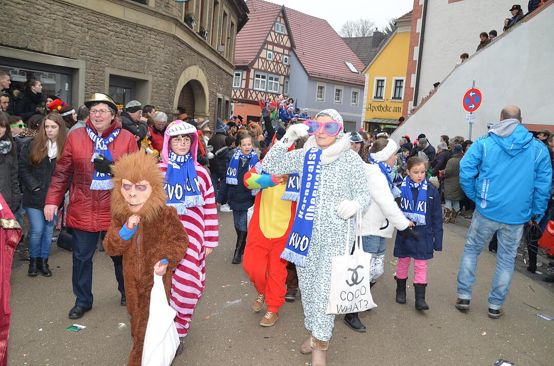 Landkreisfaschingszug 2015