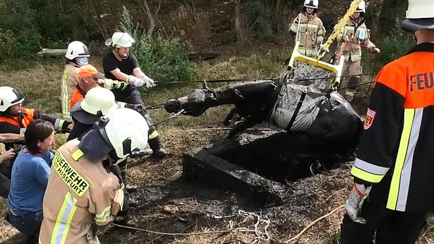 Mit dem Kran am Wechselladerfahrzeug der Feuerwehr Ha&szlig;furt wurde Hengst Hank aus der Grube gehoben. Foto: Christian Licha