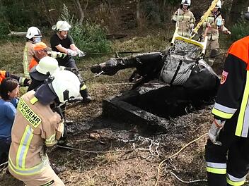 Mit dem Kran am Wechselladerfahrzeug der Feuerwehr Haßfurt wurde Hengst Hank aus der Grube gehoben. Foto: Christian Licha
