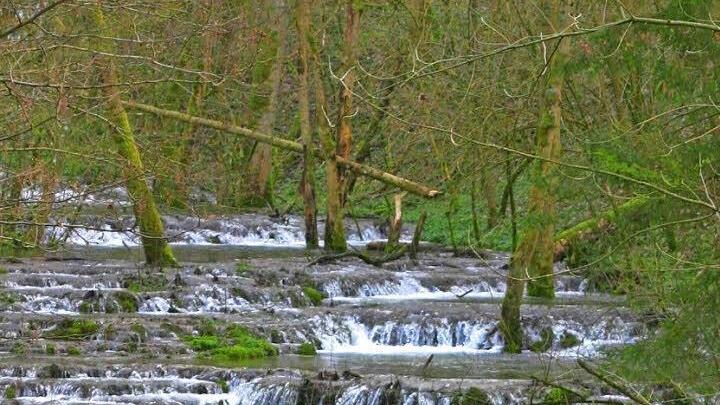 Die Sinterstufen gehören zu den belieb testen Stellen der Fränkischen Schweiz.  Foto: Josef Hofbauer