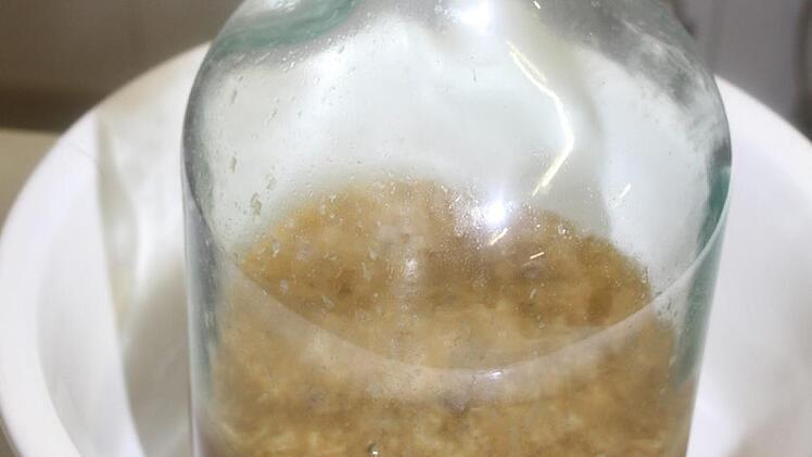 Der angegorene Traubenmost soll für eine fruchtige Süße des Bieres sorgen.  Foto: Sonny Adam