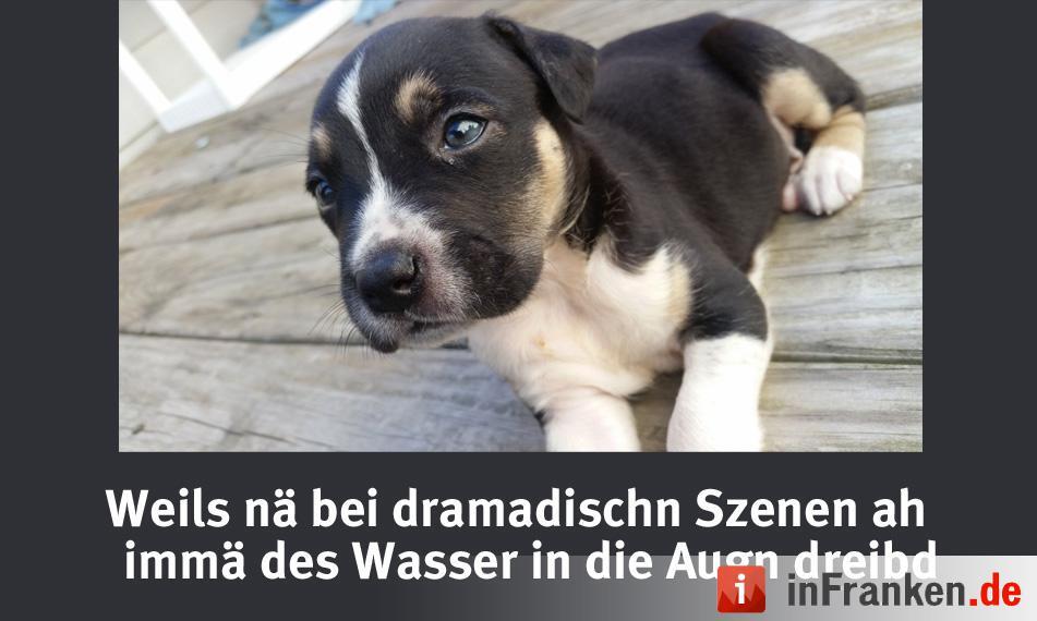 Foto: BigWill