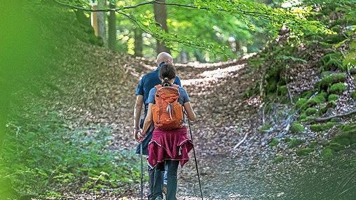 Im Frankenwald kann jetzt eine &bdquo;Wander-Challenge&ldquo; bew&auml;ltigt werden.
