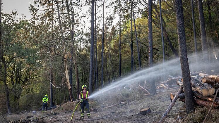 Waldbrand-Einsatz bei Waldaschaff bald beendet: Kreisbrandrat zufrieden