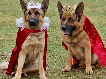Das Prinzenpaar "Prinzessin Nara vom Friedenspark" und Prinz "Lazlo von Sensei" Foto: Marliese Nagengast
