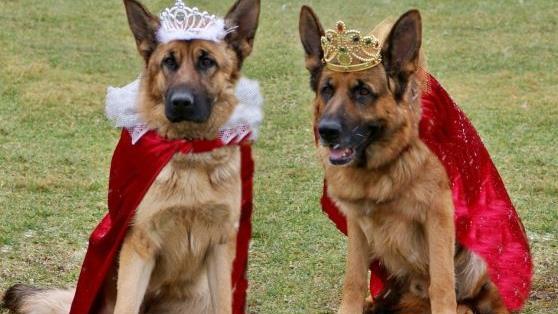 Das Prinzenpaar "Prinzessin Nara vom Friedenspark" und Prinz "Lazlo von Sensei" Foto: Marliese Nagengast