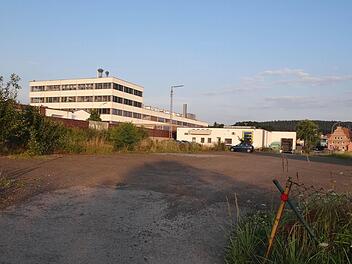 Auf diesem Grundstück nördlich des Edeka-Marktes und des früheren Bauhofs von Ebern soll ein neuer Drogeriemarkt entstehen.  Foto: Johanna Eckert
