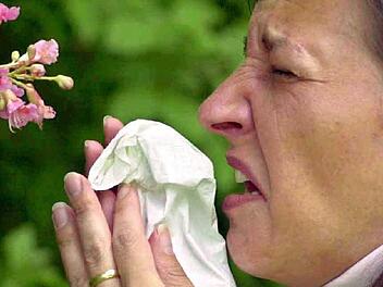 Niesanfälle durch Pollenflug plagen die Allergiker.  Foto: Karl-Josef Hildenbrand, dpa
