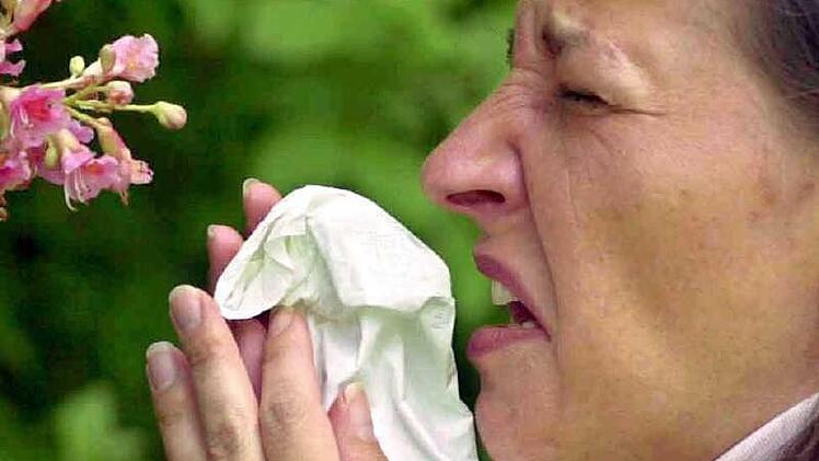 Niesanfälle durch Pollenflug plagen die Allergiker.  Foto: Karl-Josef Hildenbrand, dpa
