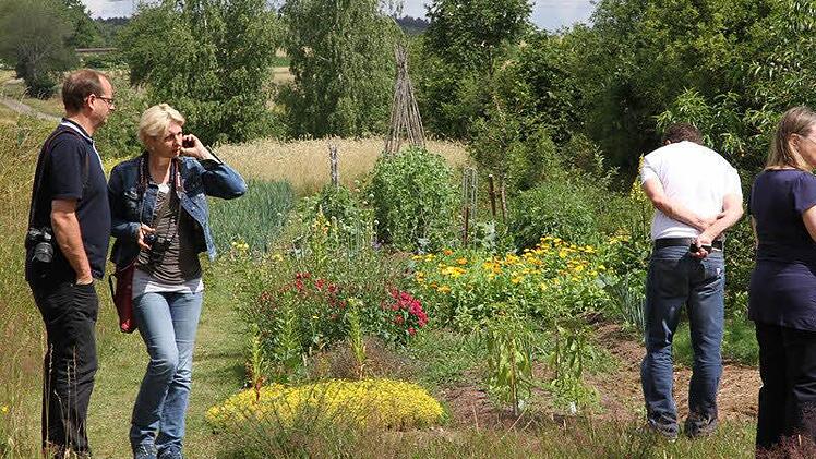 Der Naturgarten von Peter Hofmann und Petra Niedermeyer ist geprägt von Gemüseanbau und Wildwuchs. Foto: Mathias Erlwein