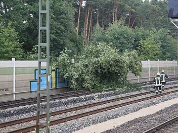 Gewitter &uuml;ber Mittelfranken haben B&auml;ume umst&uuml;rzen lassen. Im Landkreis Roth war eine Bahnstrecke zeitweise lahmgelegt. Foto: NEWS5 / Fechner