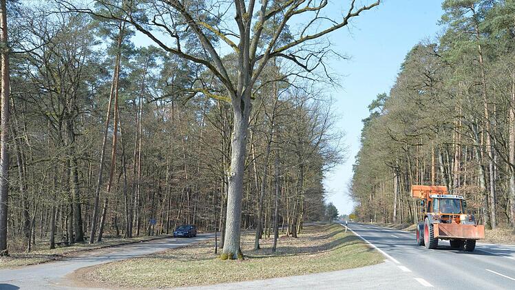 In dieser Parkbucht an der Landstraße zwischen Amlingstadt und Strullendorf (Landkreis Bamberg) passierte 2013 der Unfall. Den Baum in der Bildmitte verfehlte das Auto zum Glück. Foto: Ronald Rinklef