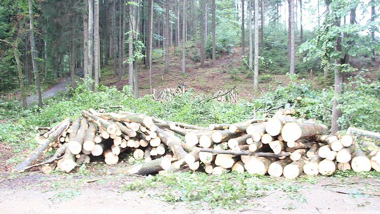 An der Felsnase türmen sich die Fixlängen.  Foto: Friedwald Schedel