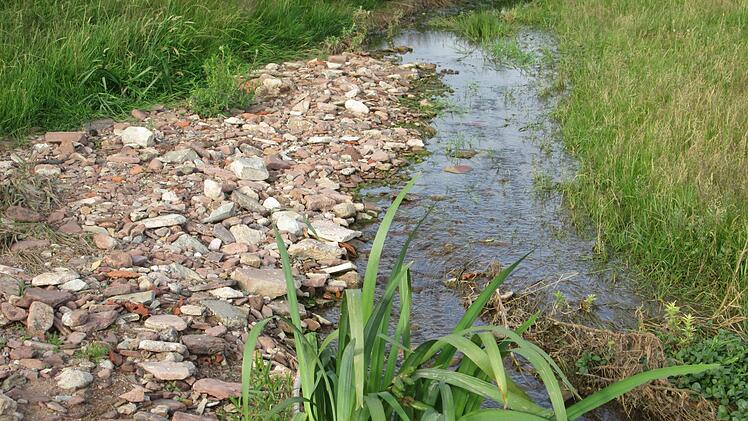 Die Wucht des reißenden Wassers belegen die Schwemmgut-Ablagerungen am Deisselbach.