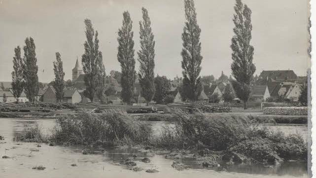 Bischberg vom Main aus - eine Ansicht aus den 1950er Jahren. Gemeindearchiv