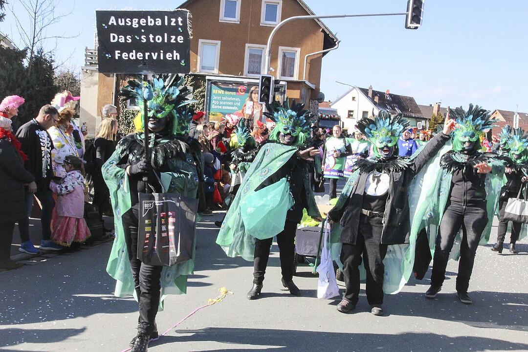 Fasching 2025 in Stadtsteinach!