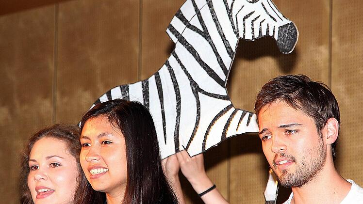 Die Schüler des Philipp-Schönborn-Gymnasiums Münnerstadt begeisterten bei ihrem Sommerkonzert mit Musik und Gesang. Foto: Dieter Britz