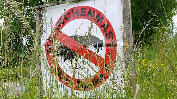 Gras über die Sache gewachsen - noch lange nicht! Nach einer Entscheidung des Landratsamtes könnte der Bau der Hühnermastanlage in Wohlbach sofort beginnen.  Foto: Berthold Köhler