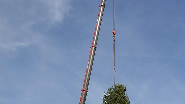 Gestern  hat das  Team des städtischen Bauhofs den  Weihnachtsbaum auf den Neustadter Marktplatz gebracht.Berthold Köhler
