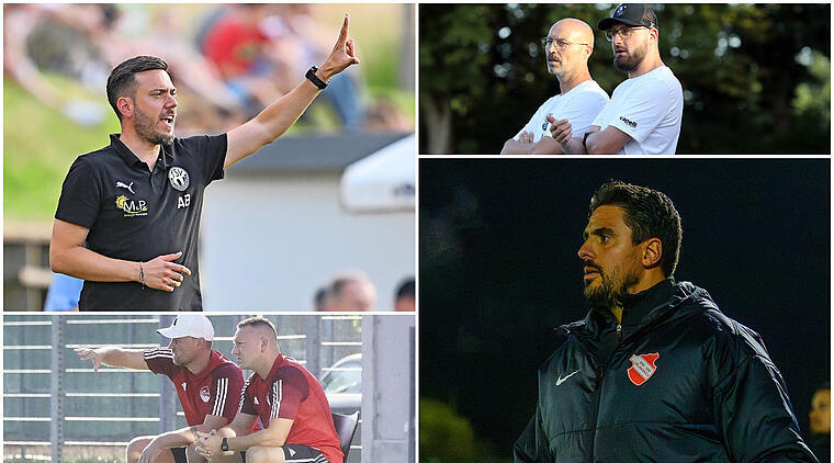 Hinrunde der Bayernliga Nord: Die große Zwischenbilanz